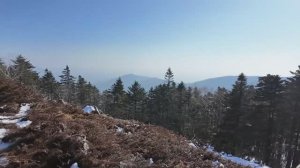 Прогулка на гору Фалаза , Приморский край, 11 км