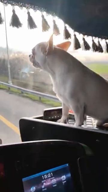 1000006341.mp4