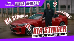KIA STINGER 2.5 ИЗ КОРЕИ — СТОИТ ЛИ СВОИХ ДЕНЕГ? МОЁ ЧЕСТНОЕ МНЕНИЕ!