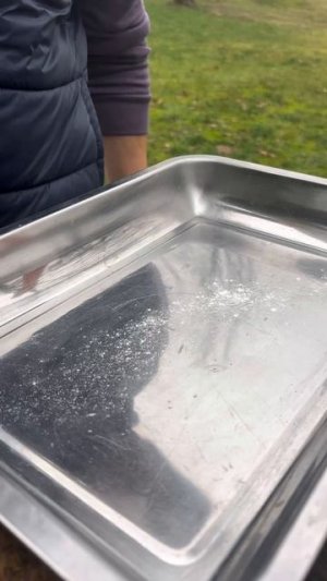 Ленивые пельмени