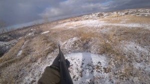 Охота на зайца. Открытие ноябрь 2025 г. Добыл три зайца.