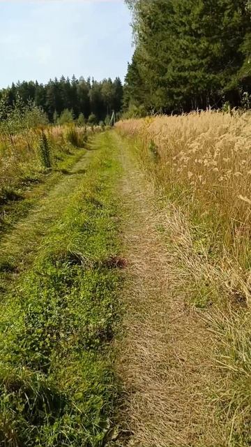 Поле смотреть онлайн