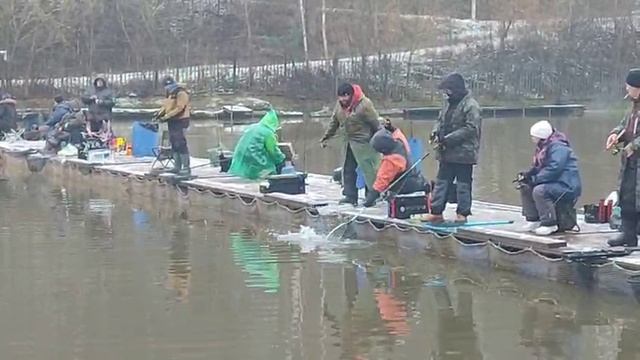 Спорт зона смотреть онлайн