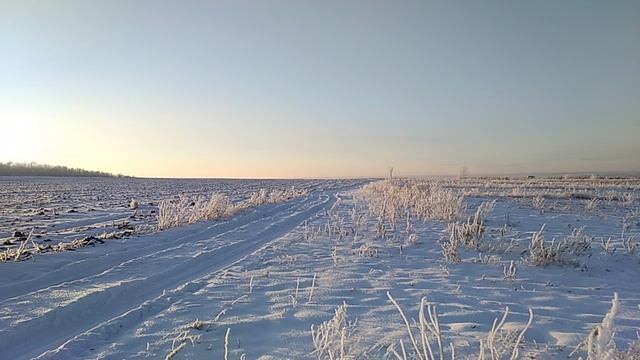 24 ноября 2018 год, на улице минус 15 смотреть онлайн