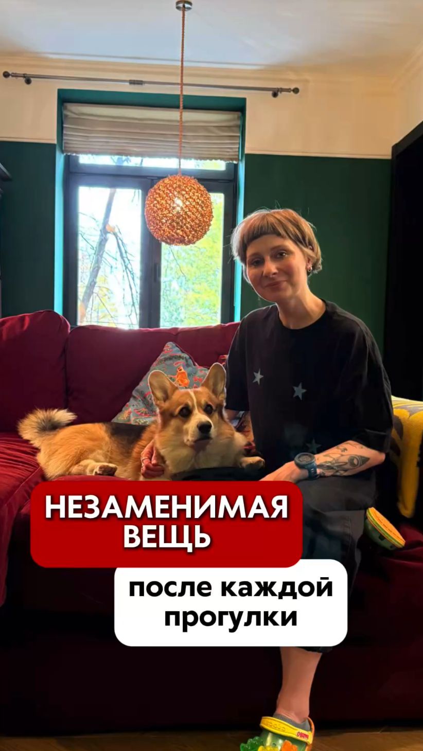 Зачем нужен второй душ? Идеальное решение для мытья СОБАКИ 🐕 смотреть онлайн