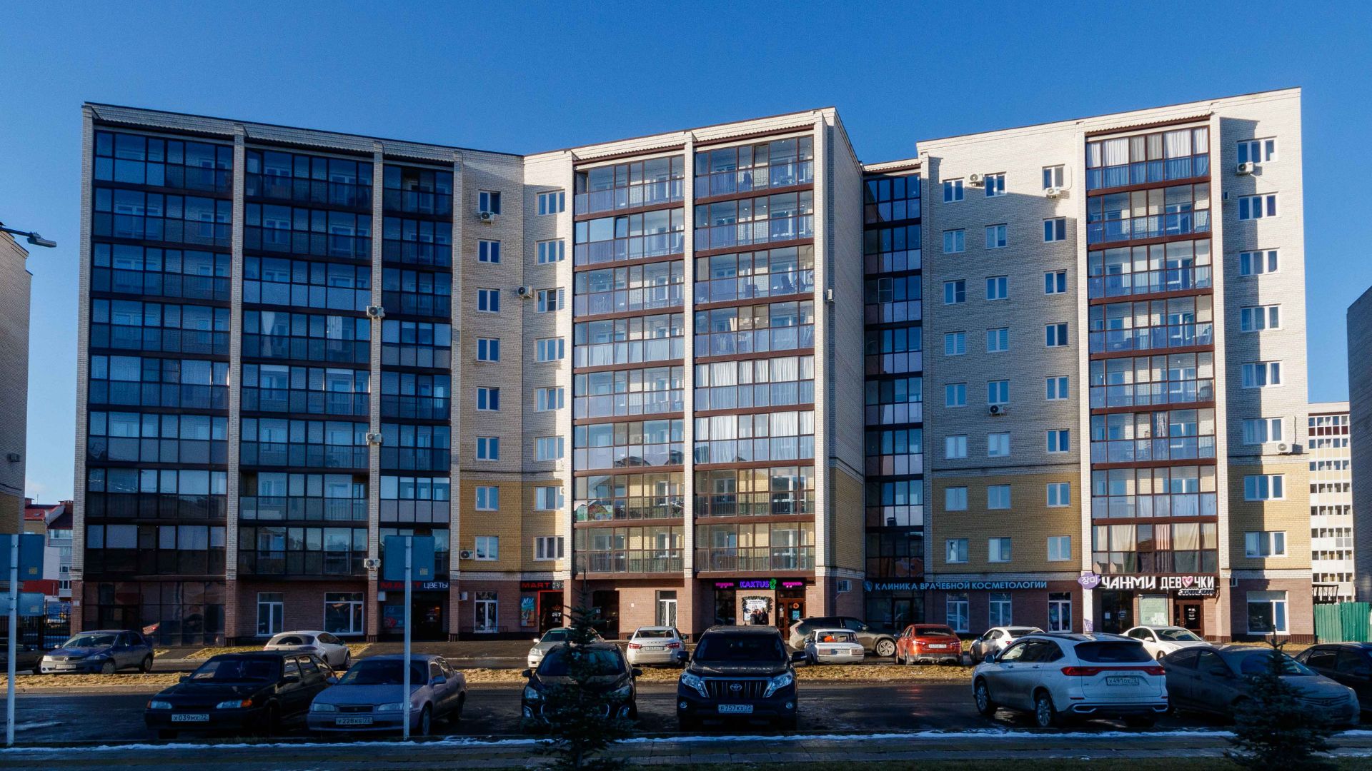 Project 169 смотреть онлайн