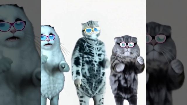 спойлер смотреть онлайн