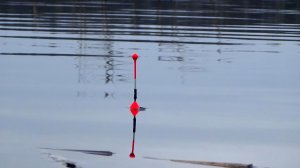 Рыбалка 25 ноября на поплавок с настила на плотву и строю новый! Озеро для людей а не для тростника!