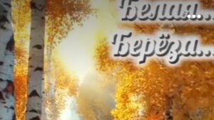 Белая берёза,алый клён