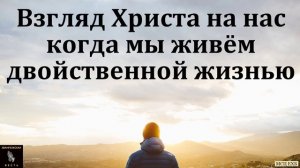 Взгляд Христа на нас, когда мы живём двойственной жизнью. В. А. Камынин. МСЦ ЕХБ