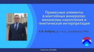 Заседание Научного совета РАН по проблемам геохимии (ГЕОХИ РАН, 19.11.2025)