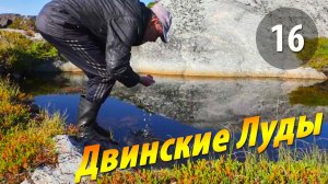 #16 На Двинских лудах - Чупинская кругосветка 2025