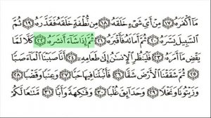 80. Сура 'Абаса || Абу Бакр Аш-Шатри