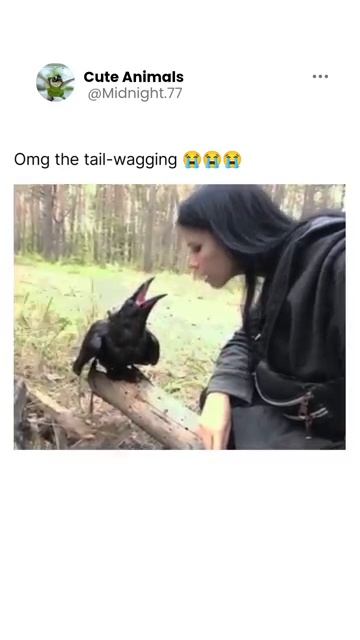 Разговор с вороном смотреть онлайн