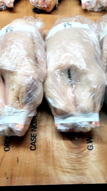 Я-Дед Мороз, только с гусями! Ловите меня на трассе! 🎅🦢