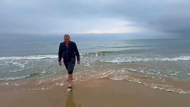 Прогулка с дельфинами. Море в Витязево. Ноябрь 2025 смотреть онлайн