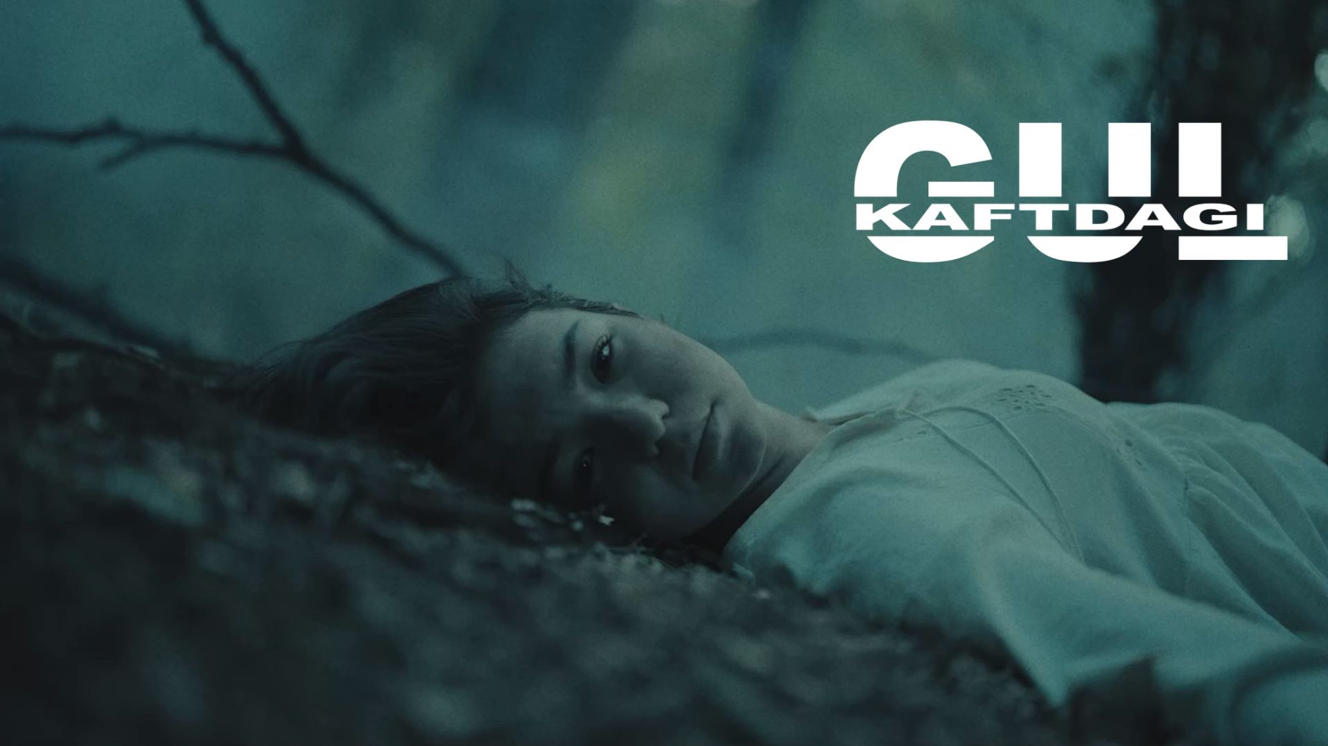 Kaftdagi gul... смотреть онлайн