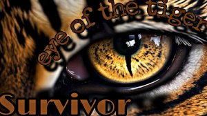 Survivor - «Eye of the Tiger» История хита для фильма Сильвестра Сталлоне «Рокки 3» #rock #rocky