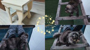 Опять в Лузе ,покупки ,расправили гирлянды .