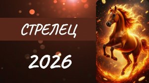 Стрелец ♐ Таро прогноз на 2026 год