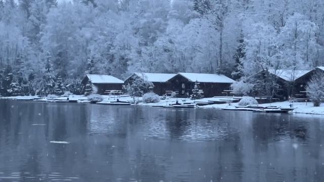 Запуск форели смотреть онлайн