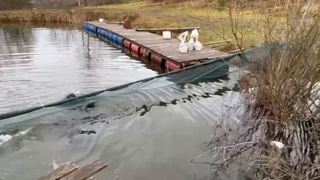 25.11.25 г. РК Волна. смотреть онлайн