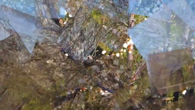 Видеозарисовка - весна 2019