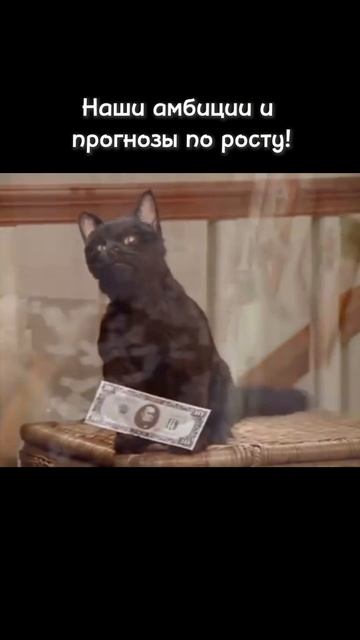 Уже строим планы на 2026 год :) смотреть онлайн