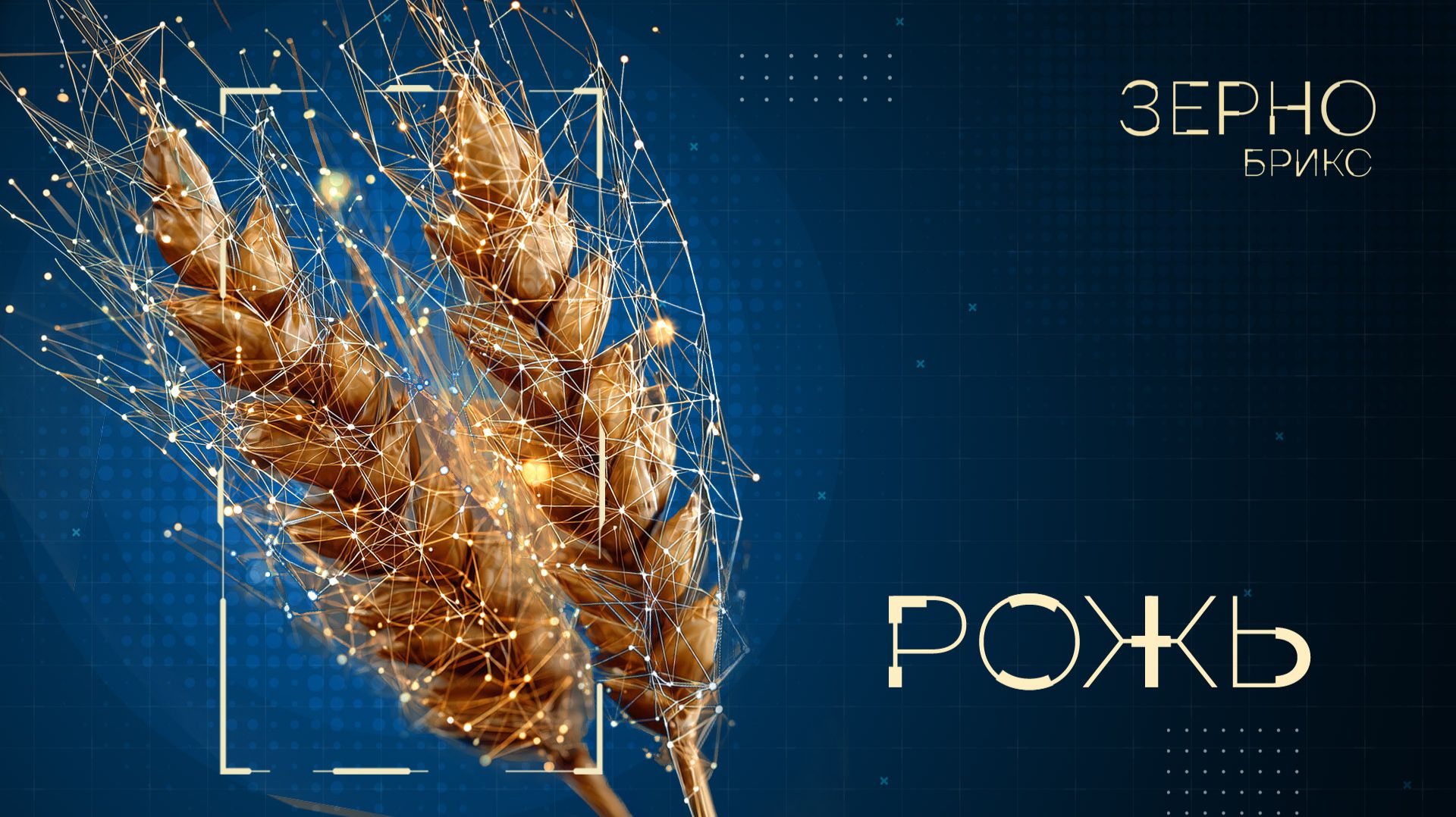 «Зерно БРИКС». Рожь