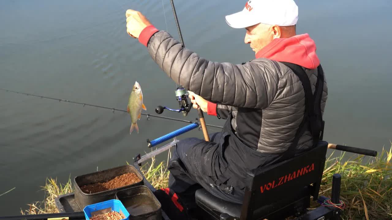 Осенняя плотва на фидер. Рыбалка с Владимиром Павлищевым смотреть онлайн