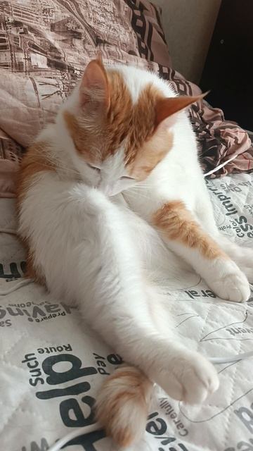 1000040425.mp4 смотреть онлайн