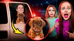 МОЮ СОБАКУ УКРАЛИ ! КТО МОГ ЭТО СДЕЛАТЬ