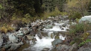 Чибитка река в Республике Алтай. Сентябрь. 04