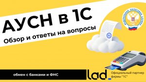 АУСН: обзор, обмен с банками и ФНС