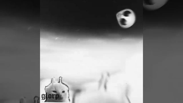 котики эдит смотреть онлайн