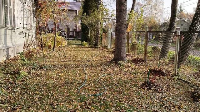 Сосенки посадила на новый участок 2025 смотреть онлайн