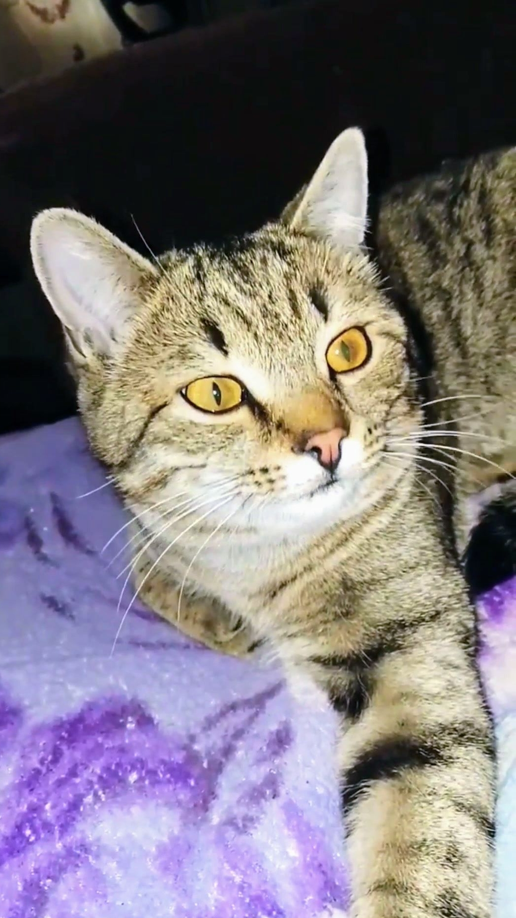 Пейте Кофе! С добрым утром! смотреть онлайн