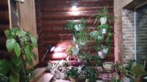 Дача! Зимний сад и гардеробная комната! 🥀🪻🌷