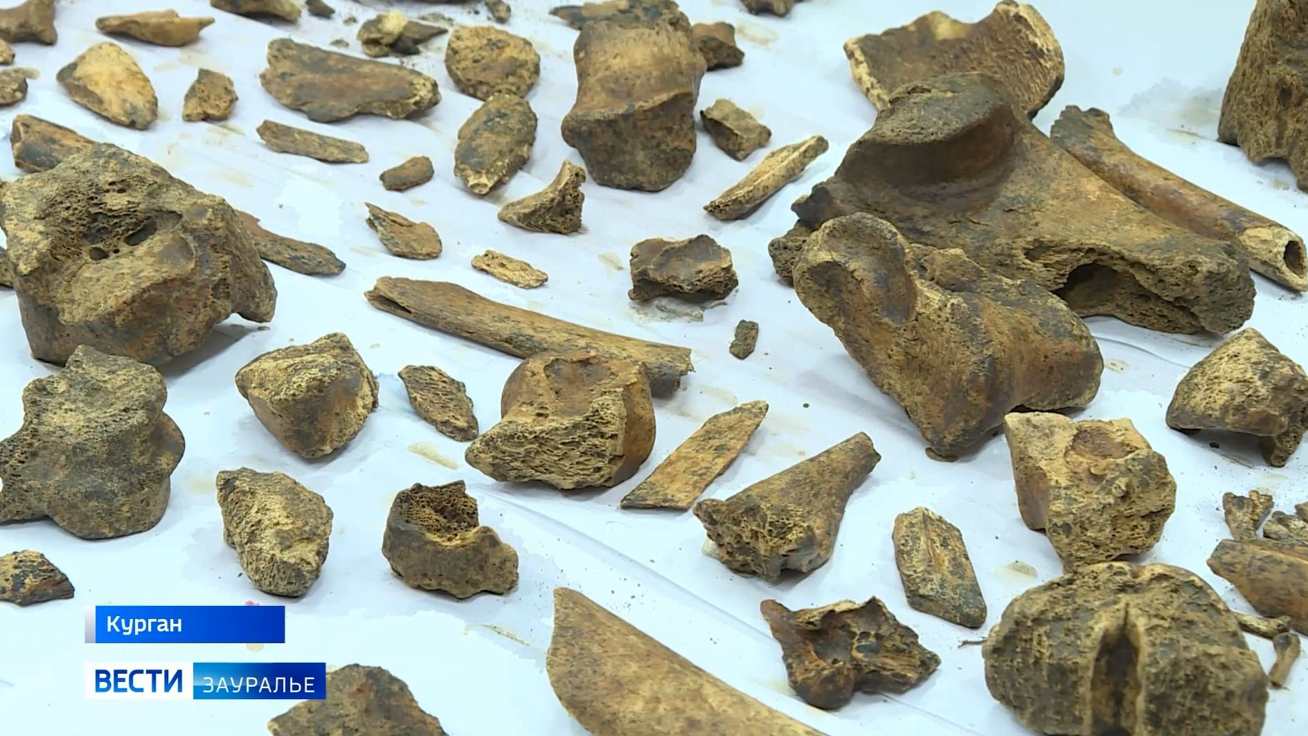 Курганские археологи вернулись из экспедиции, которая длилась почти три месяца смотреть онлайн