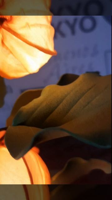 Улучшенный вариант  физалиса.