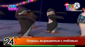 Мини Диско фрагмент из мультсериалах Приключения ТНТ с новогодних логотипом (Baby Time, 27.11.2025)