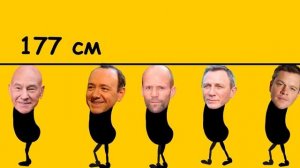 Какой рост у известных голливудских актрис и актеров