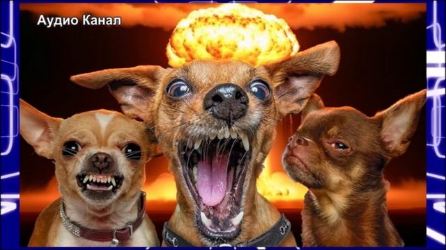 Эстония предложила НАТО отработать применения ядерного оружия у границ РФ