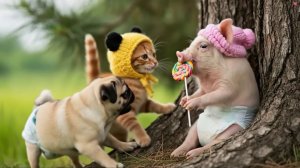 Как котики маленьких обижали