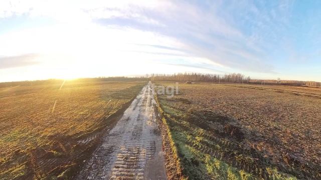 10467619 смотреть онлайн