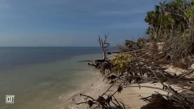 Я взыскал Господа, и Он услышал меня, и от всех опасностей моих избавил меня. Библия.
