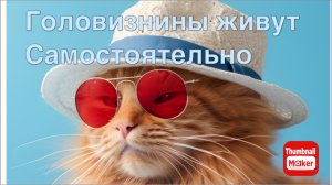 Всё в кучу. Головизнины живут самостоятельно