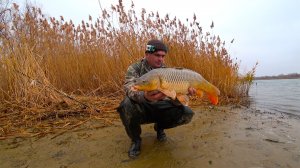 ПЯТЬ САЗАНОВ ЗА ДЕНЬ !!!! РЫБАЛКА С ЖЕНОЙ