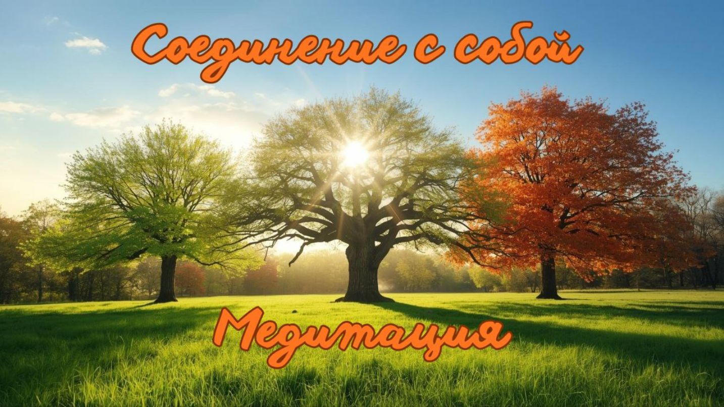 Соединение с собой. Медитация. #вселеннаяя #душа #деревопознания #деревожизни