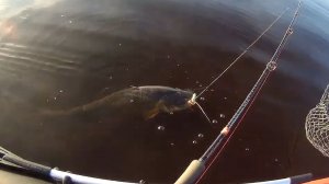 лодка Групер 350 тест остойчивости